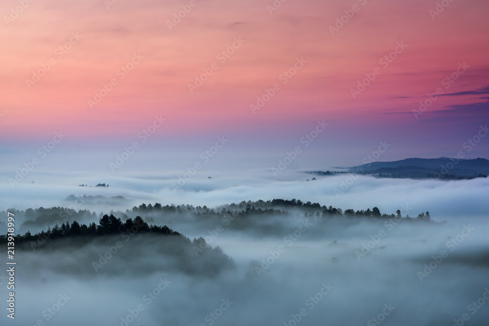 morning color landscape with fog