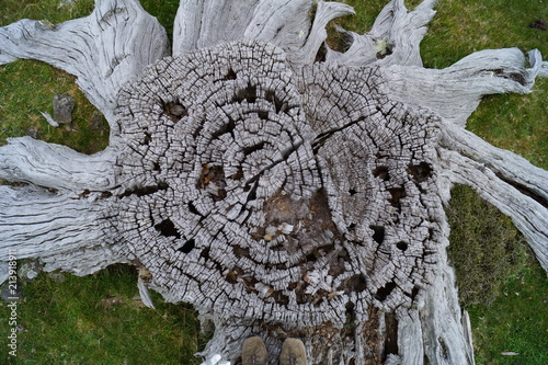 Obraz na płótnie Akaroa, New Zealand w salonie