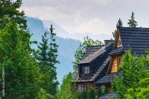 Fototapeta Naklejka Na Ścianę i Meble -  roof of a villa in the forest with a view of the high mountains