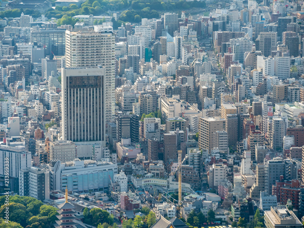 Fototapeta premium 東京 浅草 街並み