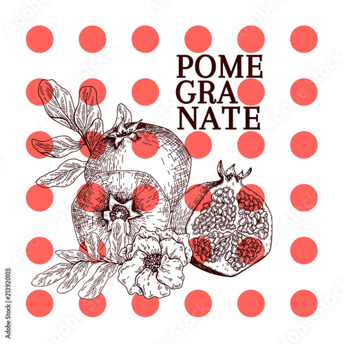 Hand drawn pomegranate composition. Vector engraved illustration. Juicy natural fruit. Food healthy ingredient. For cooking, cosmetic package design, medicinal herb, treating, healt care.