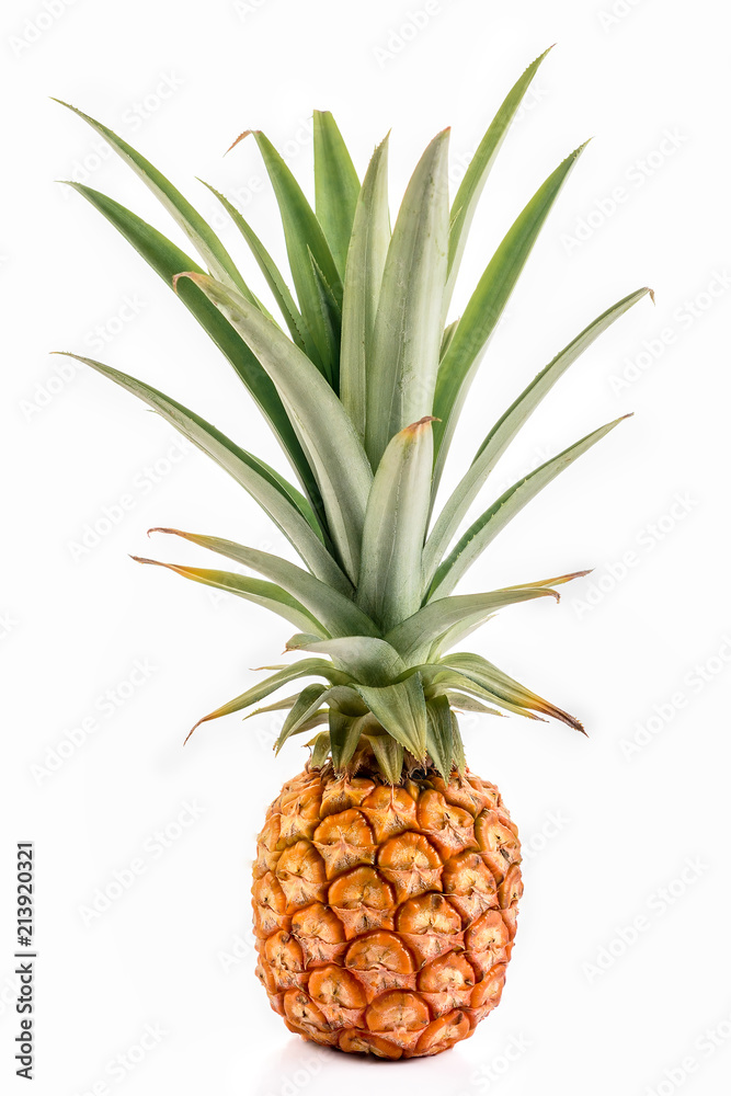 Fototapeta premium pineapple isolated on white background