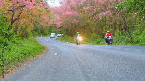 car and motorcycle passing on mountain road of doi angkhang chiangmai northern of thailand photo