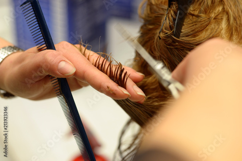 Hairdresser Cutting Hair  