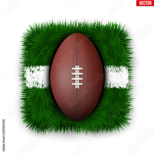 Icon Australian rules football field ball on grass. Vector Illustration isolated on white background. photo