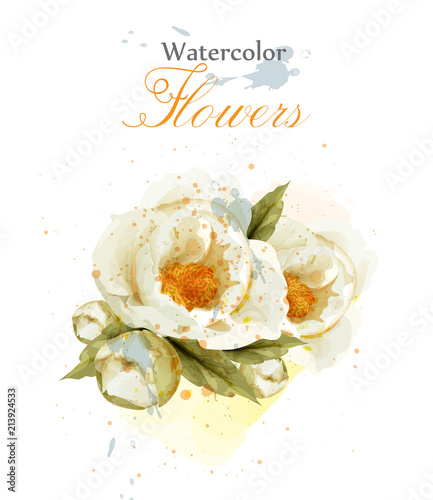 Watercolor wild rose flower blossom Vector. Vintage greeting, or wedding invi...
