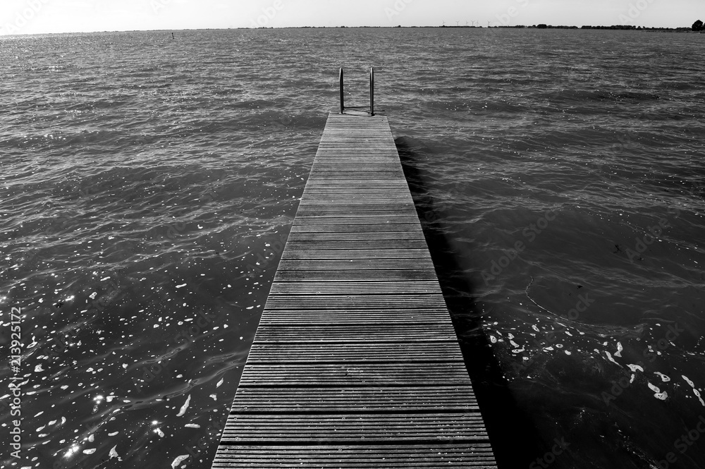 Obraz premium A black and white image of a jetty