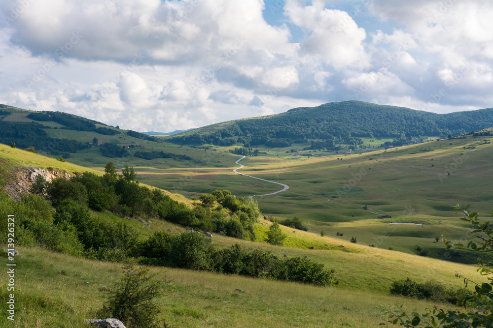 Fototapeta premium Snake road through nature 