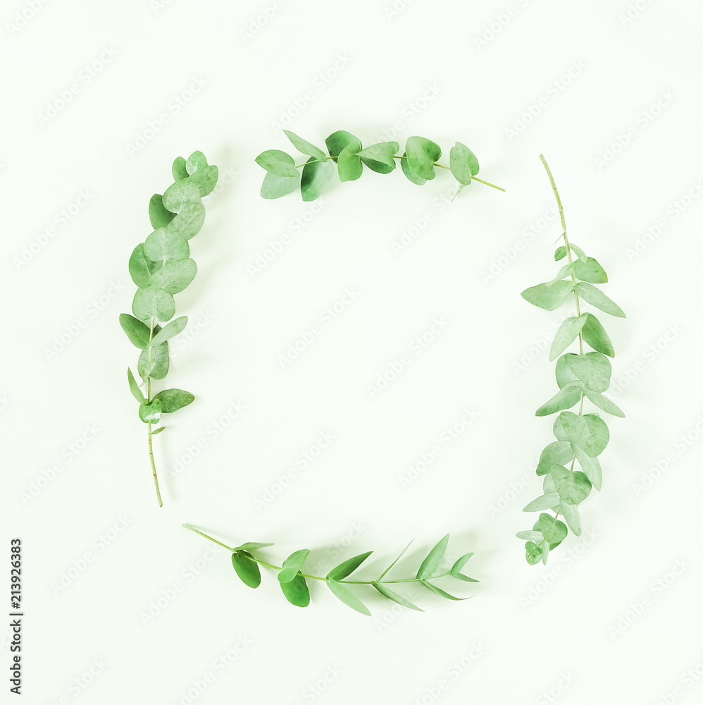 Wreath frame from eucalyptus branches on white background. Flat lay, top view. copy space Wreath frame from eucalyptus branches on white background. Flat lay, top view. copy space