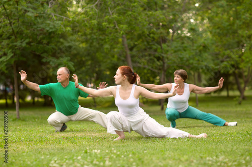 group of people practice Tai Chi Chuan in a park. Chinese management skill Qi's energy.