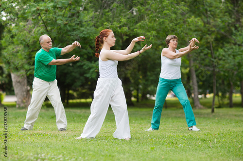 group of people practice Tai Chi Chuan in a park.  Chinese management skill Qi's energy.