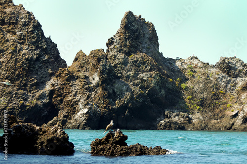 Volcanic Rock - Floreana Island - Galapagos photo