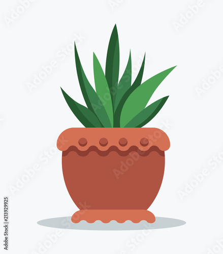 House Plant Tropical Ananas in Clay Pot for Decor