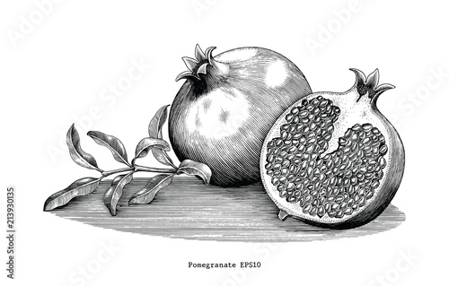 Pomegranate hand drawing vintage clip art isolated on white background