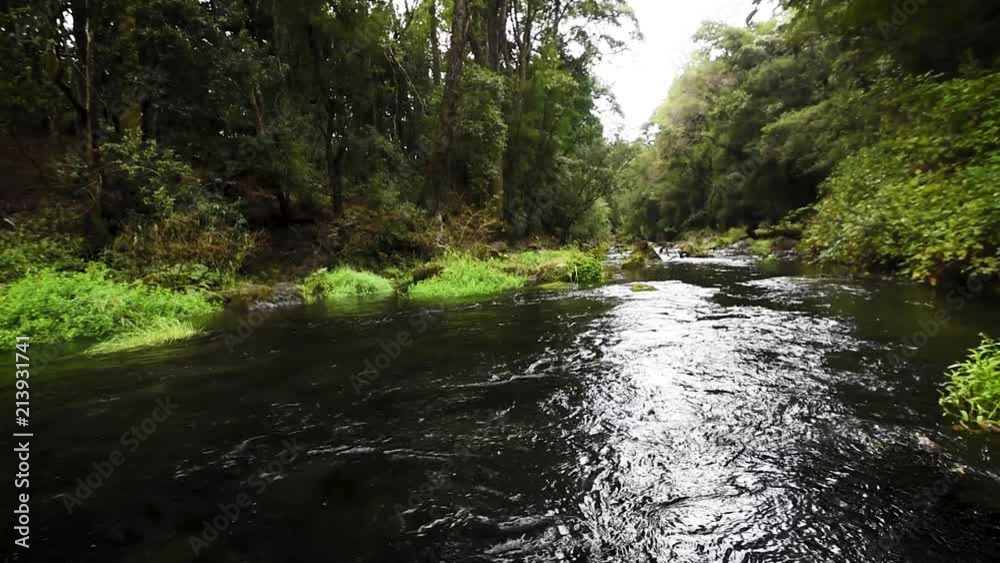 Peaceful scene of a flowing river in wild nature Peaceful scene of a flowing river in wild nature