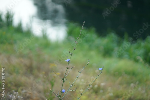 Natur Fotos