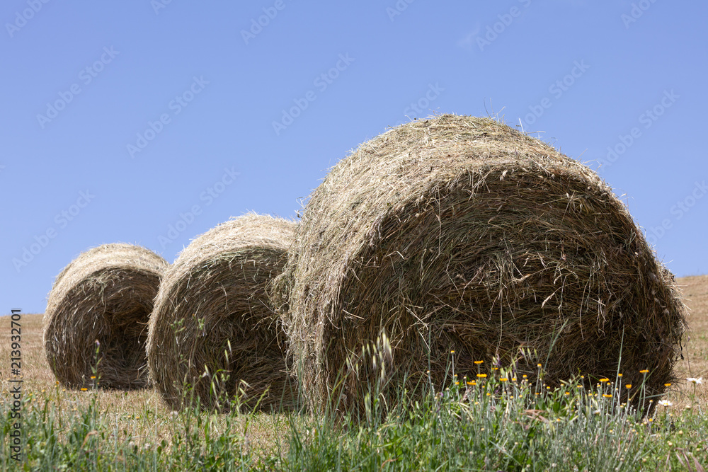 Three hay bales on harvested field Three hay bales on harvested field
