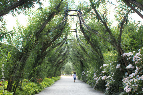 Photos Terra Botanica