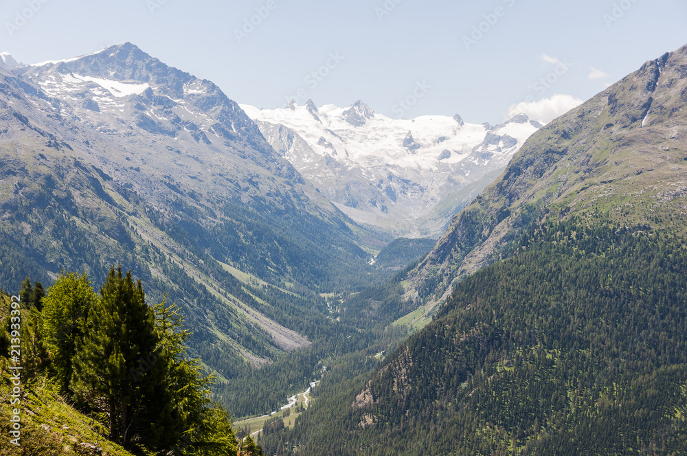 Pontresina, Val Bernina, Val Roseg, Roseggletscher, Piz Bernina, Gletscher, Wanderweg, Berninagruppe, Oberengadin, Alpen, Graubünden, Sommer, Schweiz