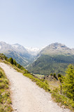 Pontresina, Val Bernina, Val Roseg, Roseggletscher, Gletscherrückgang, Berninamassiv, Wanderweg, Klimaweg, Oberengadin, Alpen, Graubünden, Sommer, Schweiz