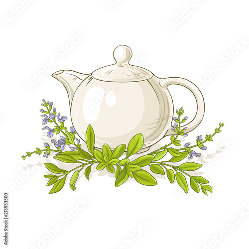 sage tea vector illustration