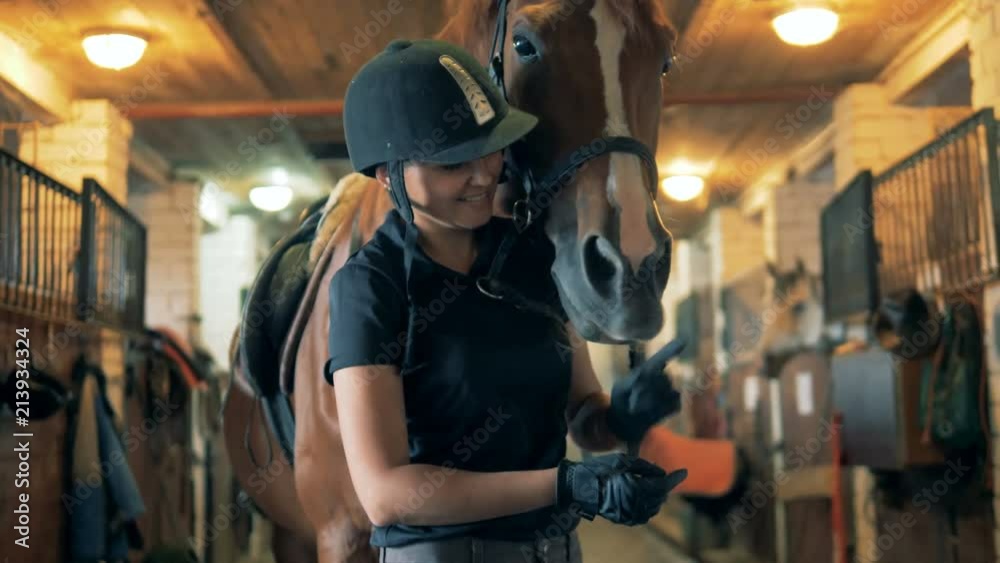 Female rider plays with a horse, close up. A woman and a horse stand in a special stable, playing. Female rider plays with a horse, close up. A woman and a horse stand in a special stable, playing.