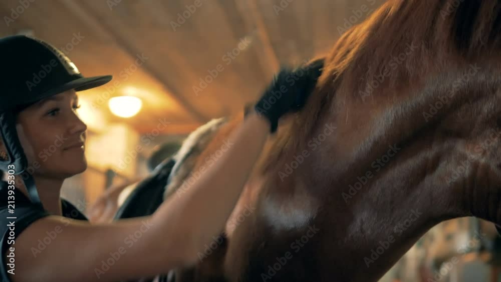 Horse mane brushing, close up. A horsewoman uses brush to groom horse's mane in a stable. Horse mane brushing, close up. A horsewoman uses brush to groom horse's mane in a stable.