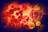 Virus infected blood cells