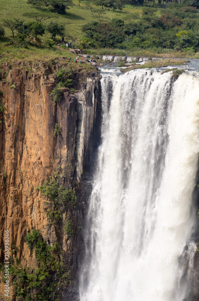 Fototapeta premium Howick Falls, Durban