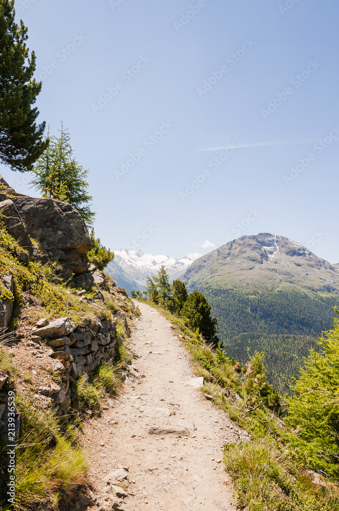 Obraz premium St. Moritz, Val Roseg, Roseggletscher, Panoramaweg, Muottas Muragl, Oberengadin, Alpen, Graubünden, Sommer, Schweiz