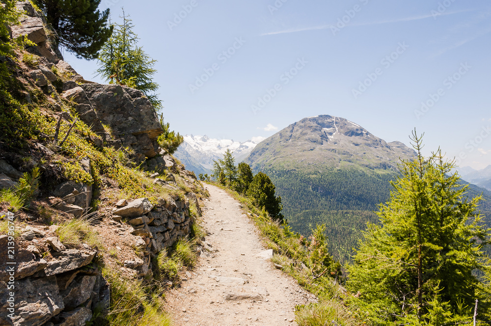 Pontresina, Wanderweg, Muottas Muragl, Rosatschgruppe, Oberengadin, Alpen, Val Roseg, Roseggletscher, Bernina, Val Bernina, Graubünden, Sommer, Schweiz Pontresina, Wanderweg, Muottas Muragl, Rosatschgruppe, Oberengadin, Alpen, Val Roseg, Roseggletscher, Bernina, Val Bernina, Graubünden, Sommer, Schweiz
