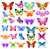 beautiful color butterflies,big set, isolated  on a white