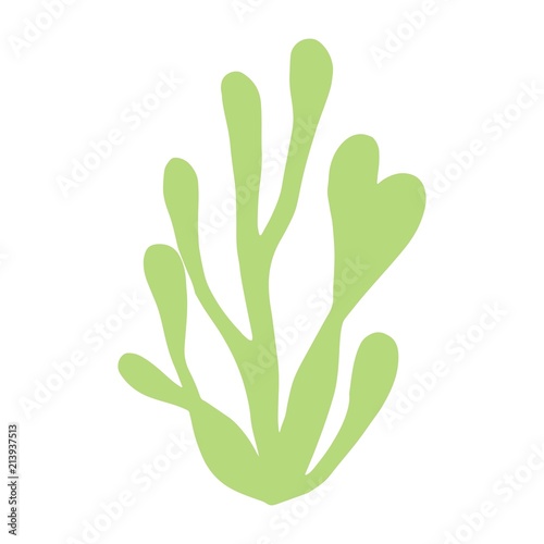 algae isolated hand drawing. marine plant