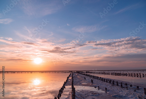 Salt sea water evaporation ponds with pink plankton colour