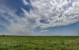 Oklahoma Summer Prairie Panorama