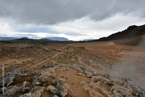 Hverir geothermal field and the fuming chimneys