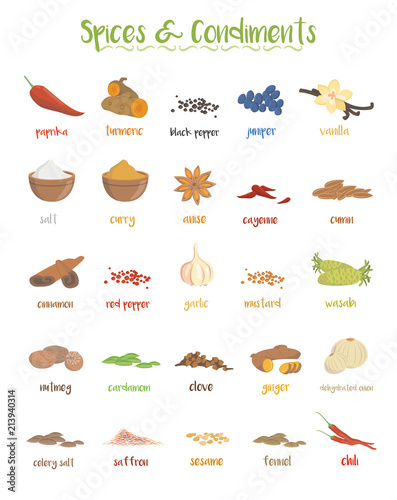Set of 25 different culinary species and condiments in cartoon style.