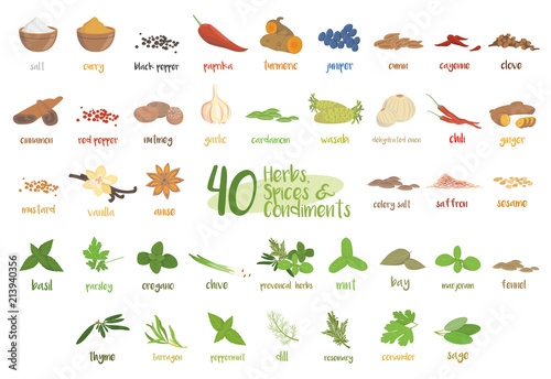 Set of 40 different culinary herbs, species and condiments in cartoon style.