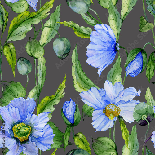 Beautiful blue poppy flowers with green leaves on dark gray background. Seaml...
