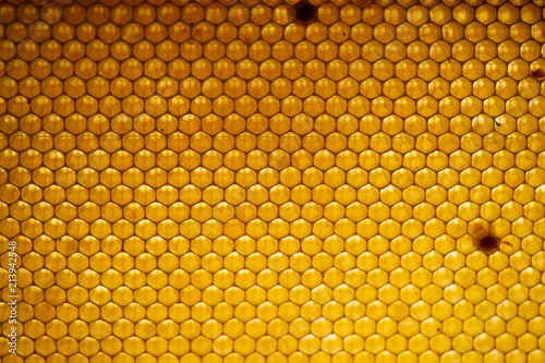 Honey comb. fragment of honeycomb, Abstract background.