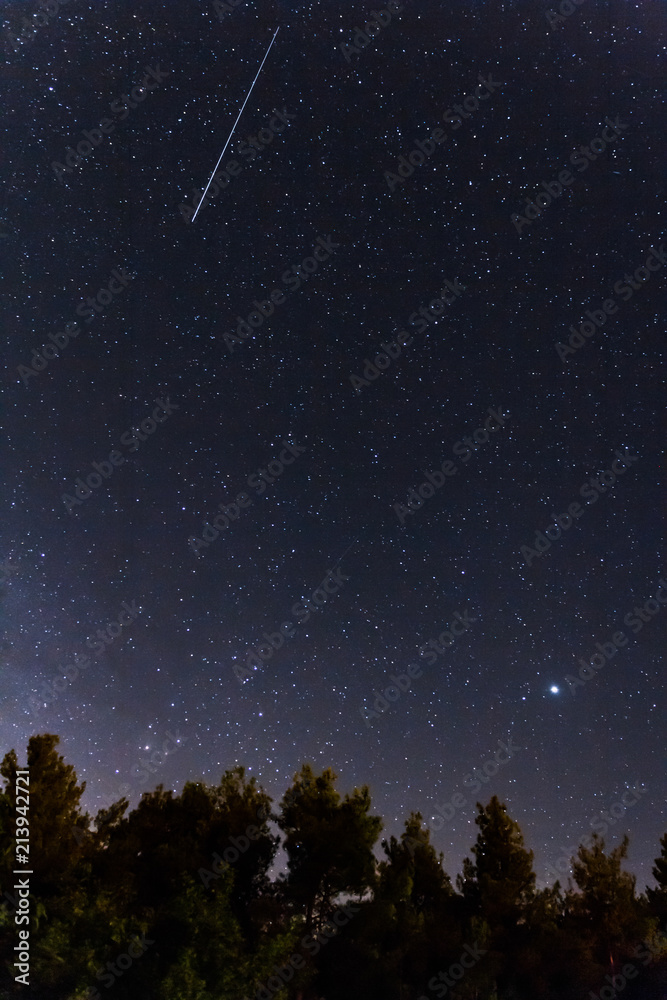 Fototapeta premium Falling stars over the forest at the Troodos mountains