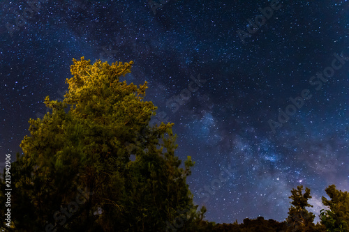 Milky Way over the Forest at the Troodos mountains in Cyprus.