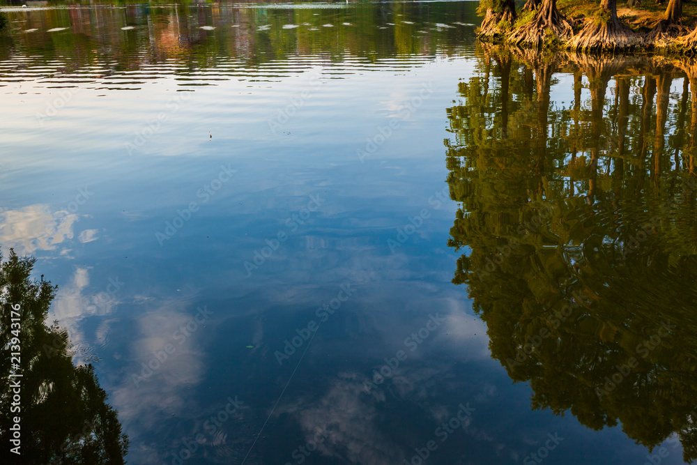 Green Trees and Blue sky are reflecting in forest lake
