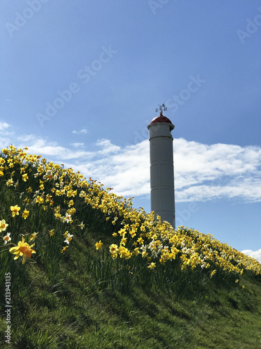 Buckie lighthouse portrait photo