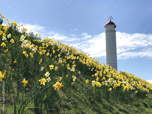 Buckie lighthouse photo