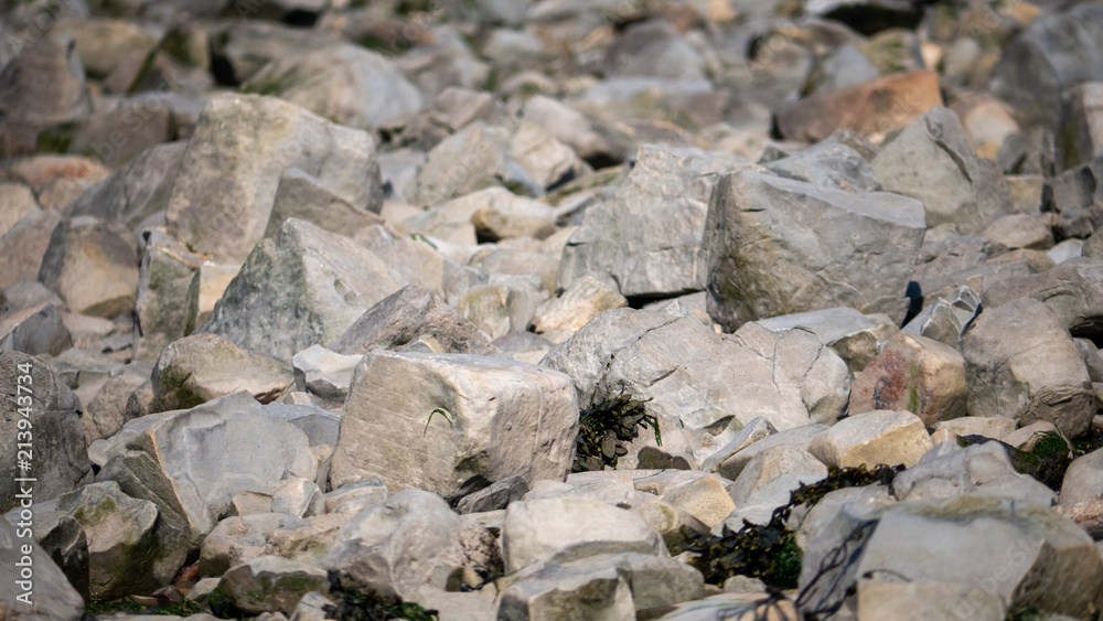 Rocks at Kilve beach in England