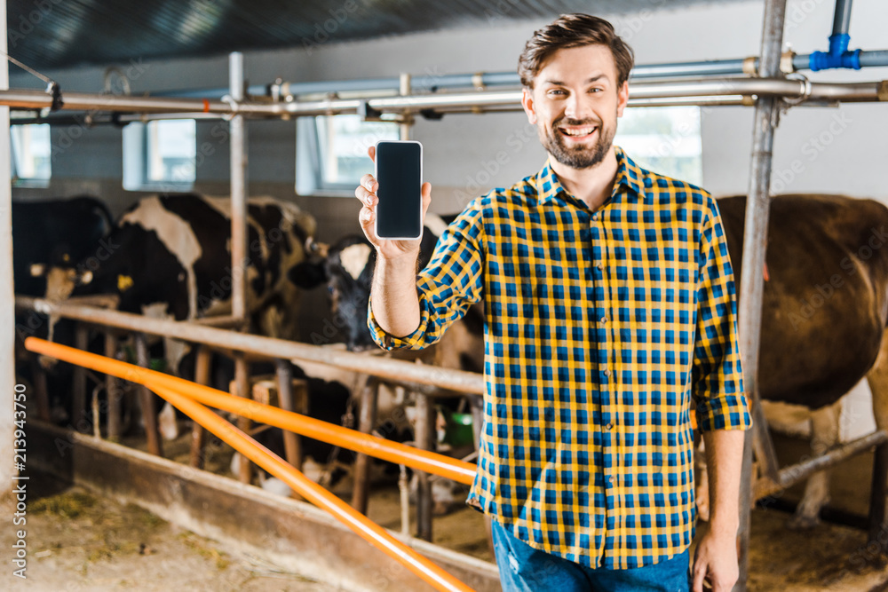 handsome farmer showing smartphone with blank screen in stable handsome farmer showing smartphone with blank screen in stable
