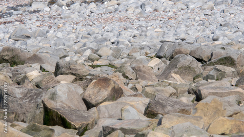Rocks at Kilve beach in England