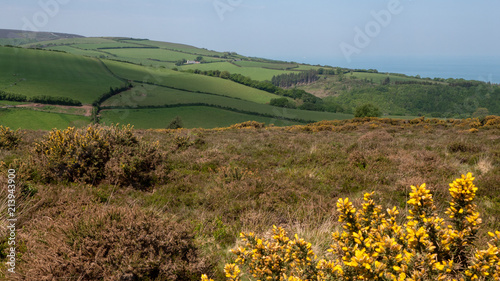 Exmoor National Park with highest point Dunkery Beacon photo