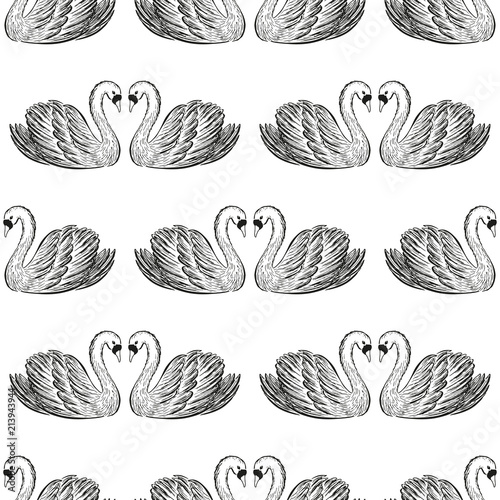 Swan pair seamless pattern.  Hand drawn vector illustration.